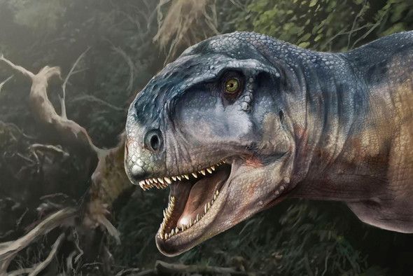 В Аргентине обнаружили нового хищного динозавра
