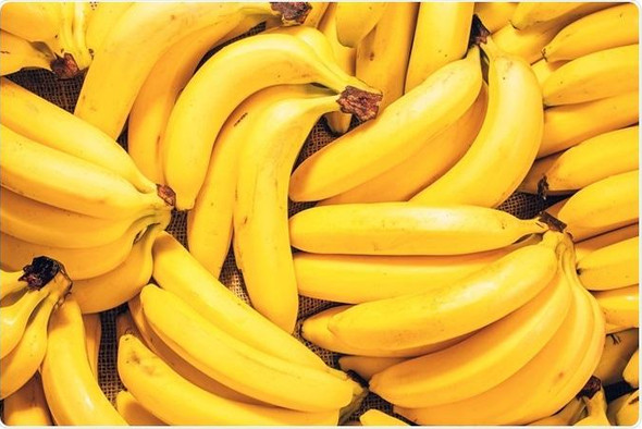 Бананы могут исчезнуть с прилавков из-за гриба