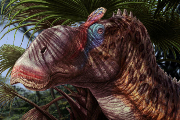 Палеонтологи открыли новый вид утконосых динозавров
