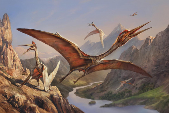 Палеонтологи раскрыли секрет крепкой шеи гигантских птерозавров