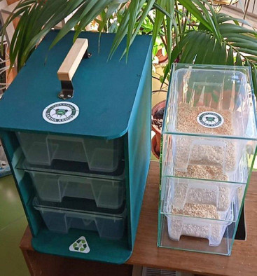 В Якутии придумали, как утилизировать пластик дома с помощью жуков
