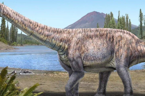 В Чили обнаружили новый вид титанозавра