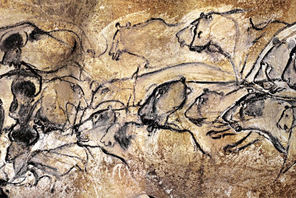 У сапиенсов обнаружили гены творчества, которых не было у неандертальцев