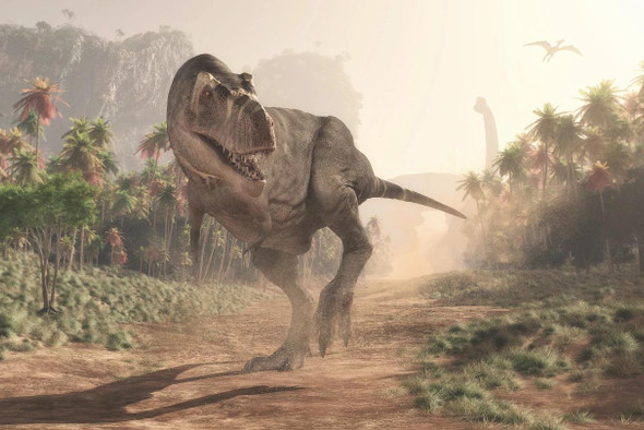 Взрослые тираннозавры не могли догнать своих детенышей-подростков