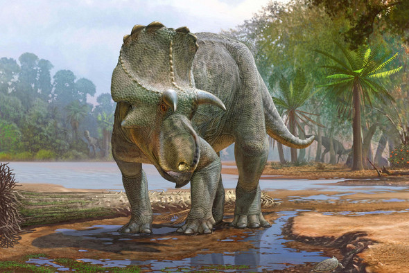 Ископаемые останки из Нью-Мексико оказались самым древним рогатым динозавром