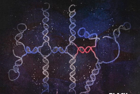 Биологи случайно открыли новый класс биомолекул — глико-РНК