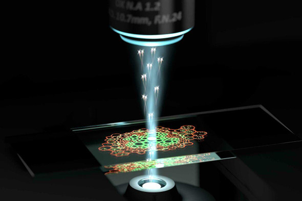В новый квантовый микроскоп можно увидеть невозможное