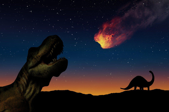 Динозавры начали вымирать еще до метеорита
