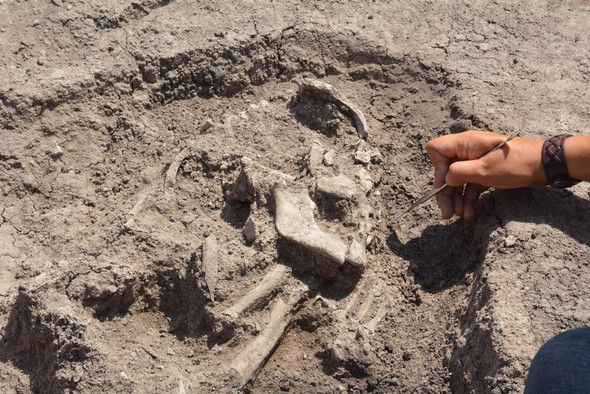 Житель Турции откопал в дворе следы неизвестной цивилизации