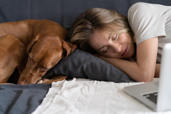 Что говорят ученые о коротком перерыве на сон?