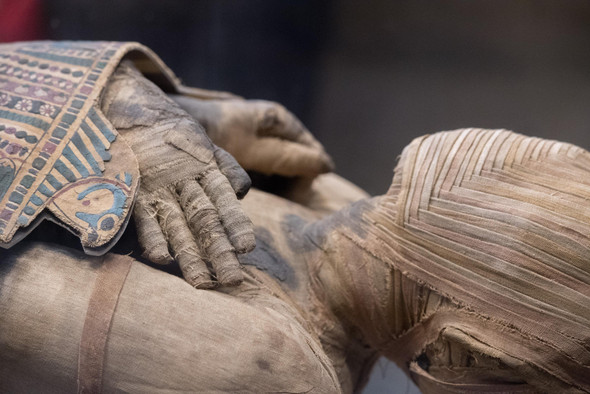3D-лица древнеегипетских мумий создали по ДНК