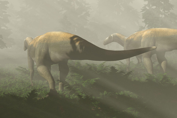 Динозавр, живший 200 миллионов лет назад, неожиданно оказался вегетарианцем