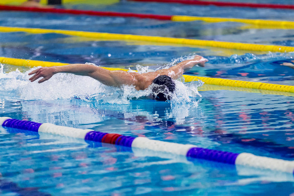 Итоги чемпионата Европы по плаванию на короткой воде. У России 11 золотых наград