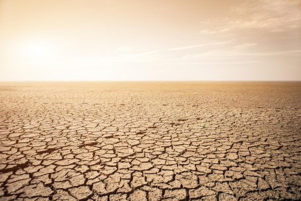 Ученые спрогнозировали «Судный день» в Африке — засуху, когда вода закончится совсем