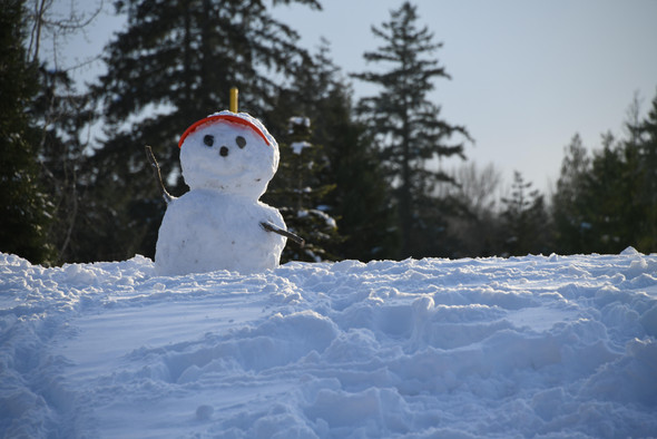 Когда появилась традиция лепить снеговиков? И что символизируют снежные скульптуры?