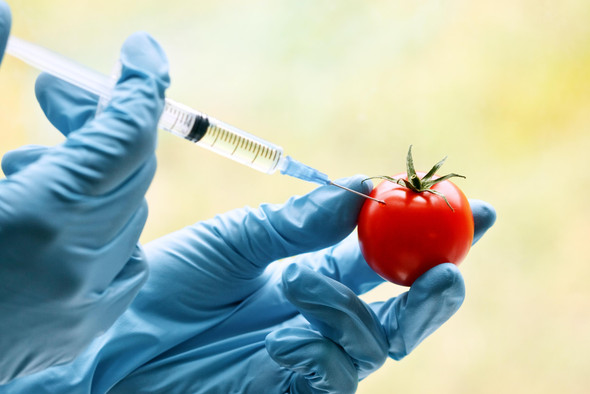 Запрет ГМО и индексация пенсий: какие законы вступают в силу в марте