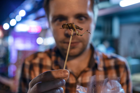 Экологи советуют питаться насекомыми. Какой в этом смысл?