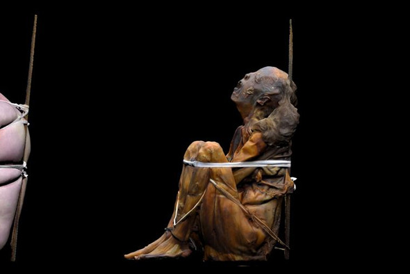В Португалии нашли самую старую мумию в мире. Ей больше 8000 лет