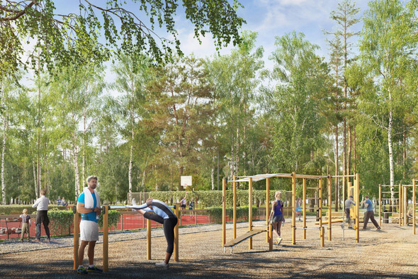 Свежий глоток для Щукинского парка и Всехсвятской рощи: как их собираются модернизировать