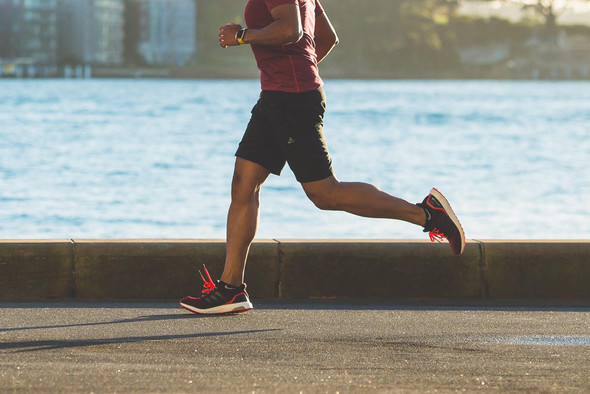 Камбаловидная и ягодичная: какие мышцы задействуются во время бега?
