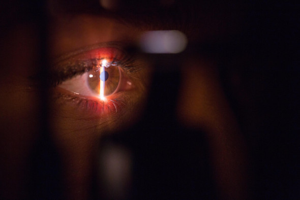 Жизнь после смерти: офтальмологи воскресили светочувствительные клетки в глазах доноров