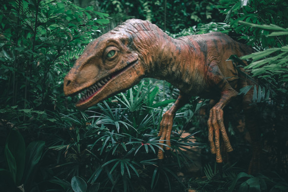 «Тираннозавры сделали бы лучше»: появились первые отзывы на новый «Мир Юрского периода»