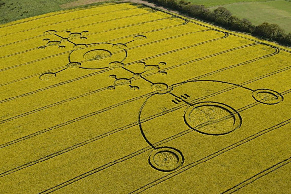 Таинства НЛО или людской вандализм: откуда берутся круги на полях?