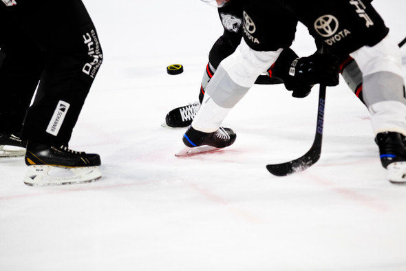 Главный хоккейный турнир лета: что нужно знать о Sochi Hockey Open?