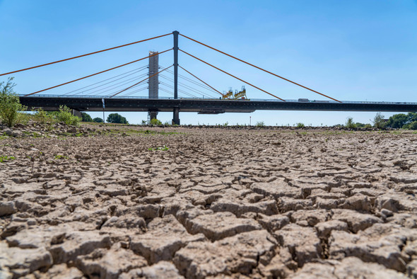 «Беспрецедентная, ужасная, апокалиптическая»: Европу накрыла сильнейшая за 500 лет засуха