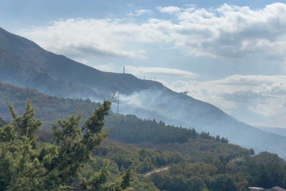 В Геленджике произошел сильнейший лесной пожар. Площадь возгорания достигла 118 га