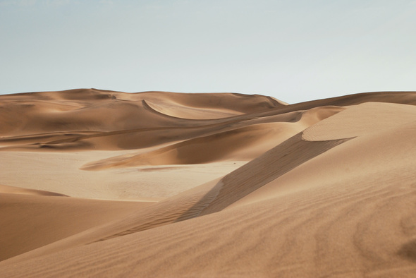 Когда-то пустыня Сахара была зеленой. Что с ней произошло и может ли она вновь зацвести? 