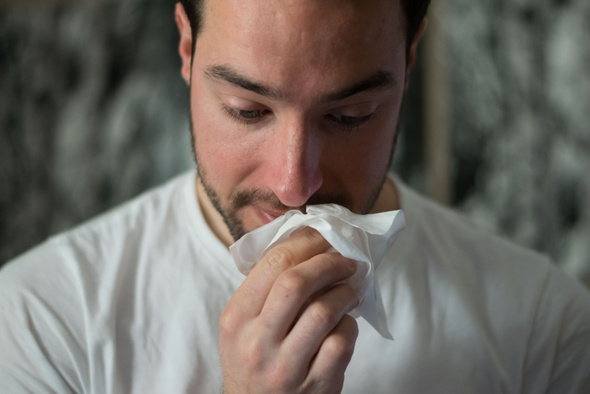 Справка для аллергиков: что нельзя есть, как часто убираться и нужны ли медицинские маски