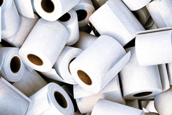 Туалетная бумага загрязняет воду. В ней нашли «вечные» химикаты, которые не разлагаются