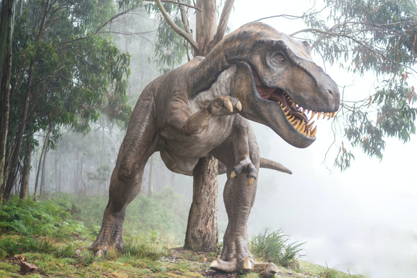 Радужные, пернатые и простуженные: факты, которые перевернут ваши представления о динозаврах