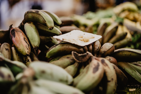 Ученые разработали банан, который решит проблему высокой детской смертности в Африке 