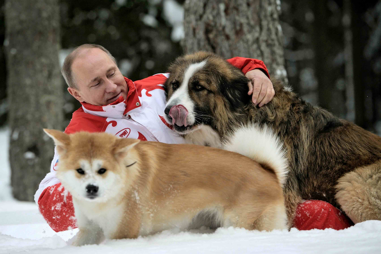 Путин с собаками Баффи и Юмэ. Источник: Алексей Дружинин/ИТАР-ТАСС