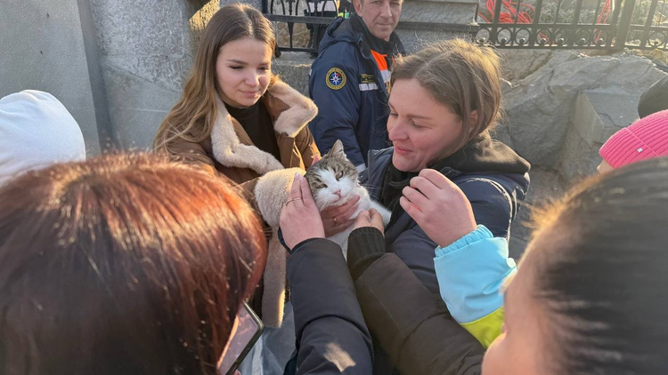 «Янина ПаVленко»/Telegram