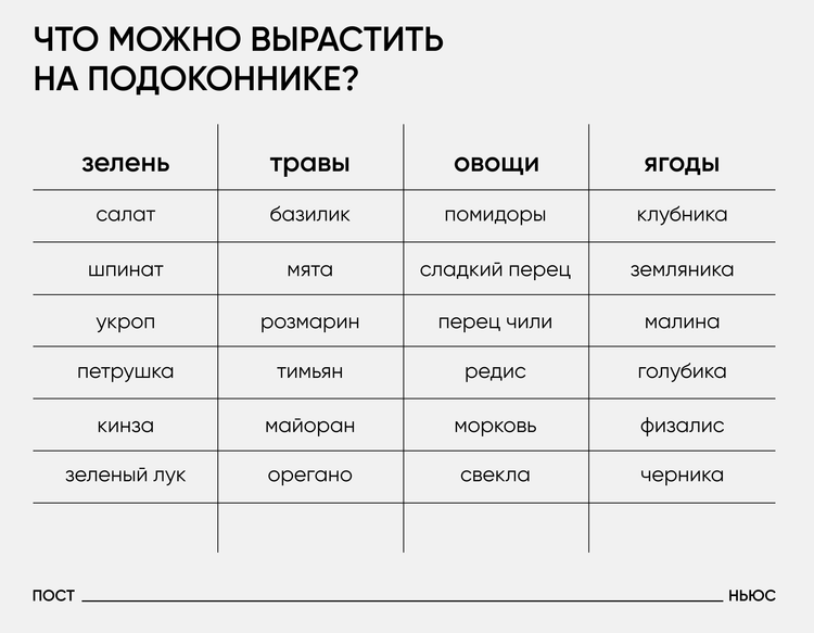 Что можно вырастить на подоконнике/«Постньюс» 