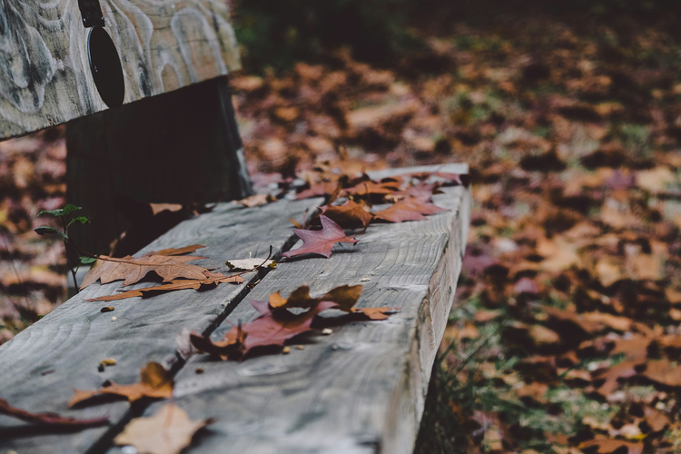 Annie Spratt/Unsplash