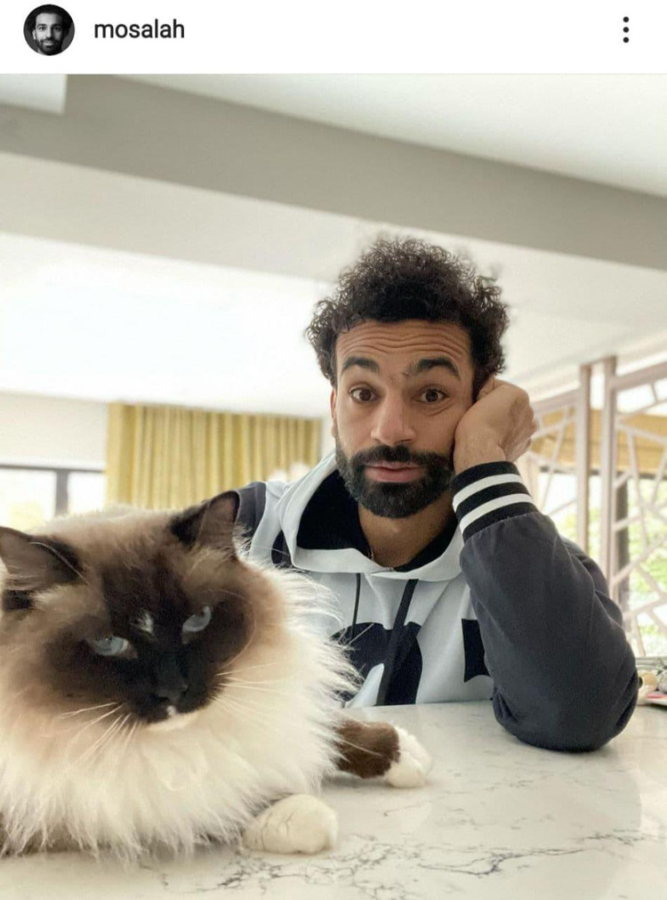 Фото: mosalah / instagram.com