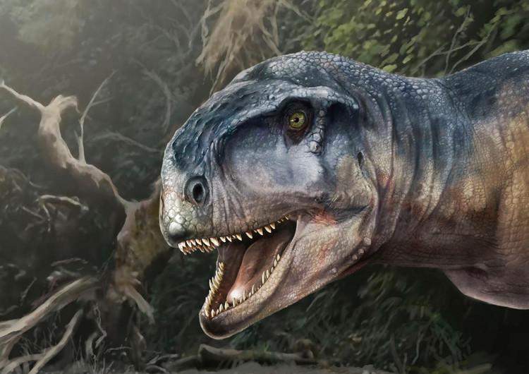 Художественное представление динозавра Llukalkan aliocranianus. Фото: Jorge Blanco and Journal of Vertebrate Paleontology
