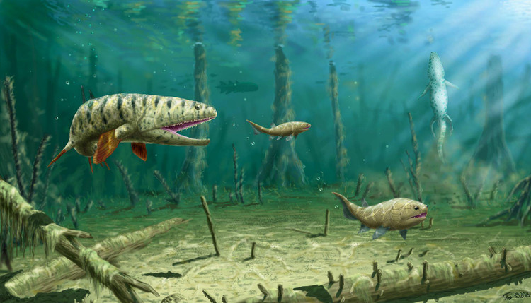 Фото: Eusthenodon sp. 365 million years ago. Late Devonian period, Tula region, village Andreevka / Yury Priymak / Pinterest