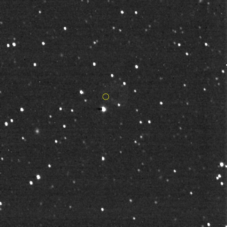 Фото Voyager-1, сделанное New Horizons. Местонахождение Voyager-1 обозначено желтым кружком / NASA / Johns Hopkins APL / Southwest Research Institute