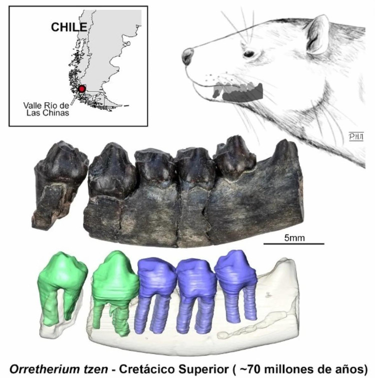 Фото: Chilean Antarctic Institute