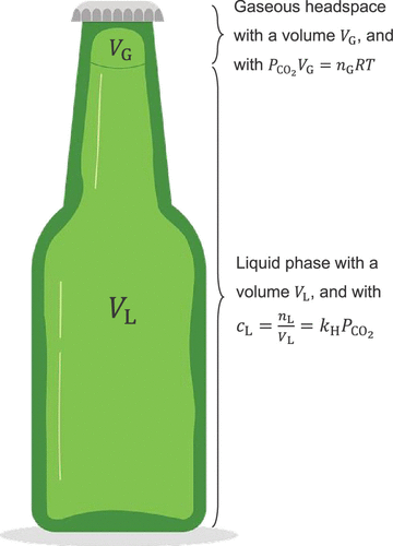 Схема пивной бутылки с крышкой, иллюстрирующая термодинамическое равновесие, испытываемое растворенным и газообразным CO2 между жидкой фазой и газообразным свободным пространством под крышкой. Иллюстрация: K dapple-designer / Pixabay