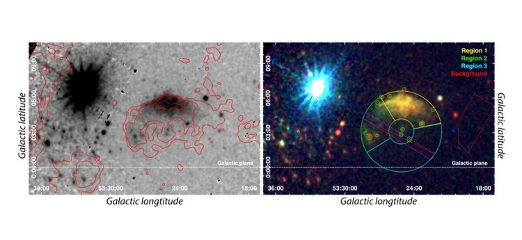 Фото: Domček et al., 2021.