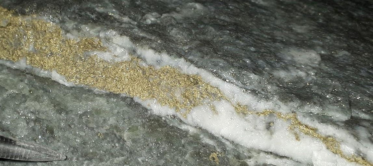 Фото: Colloidal transport and flocculation are the cause of the hyperenrichment of gold in nature / pnas.org