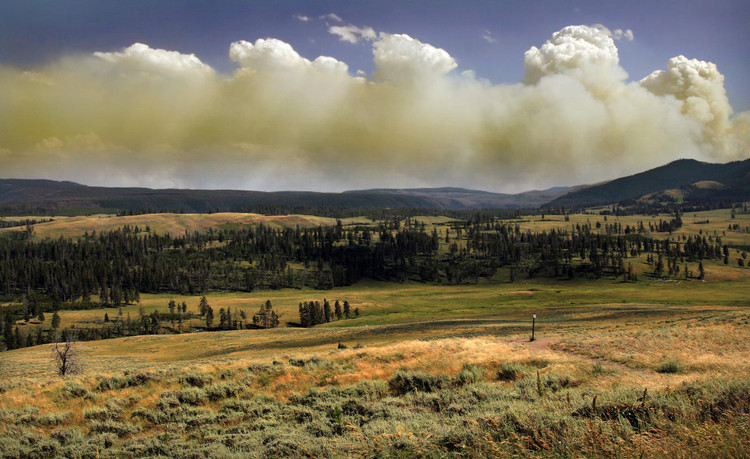 Лесной пожар в Йеллоустоне и пирокумулюсы / Brocken Inaglory / Wikimedia Commons