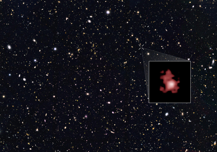 GN-z11 в окружении галактик в направлении Большой Медведицы / NASA / ESA / Hubble
