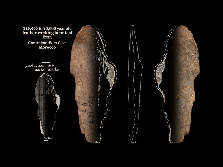 Лопаточки для обработки шкур хищных животных, найденные в Пещере Контрабандистов, Марокко/ Jacopo Niccolò Cerasoni